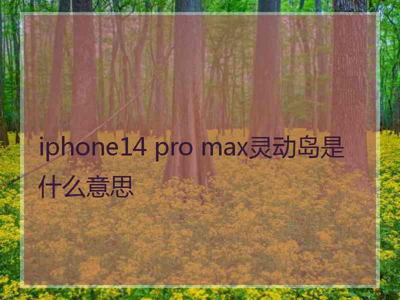 iphone14 pro max灵动岛是什么意思