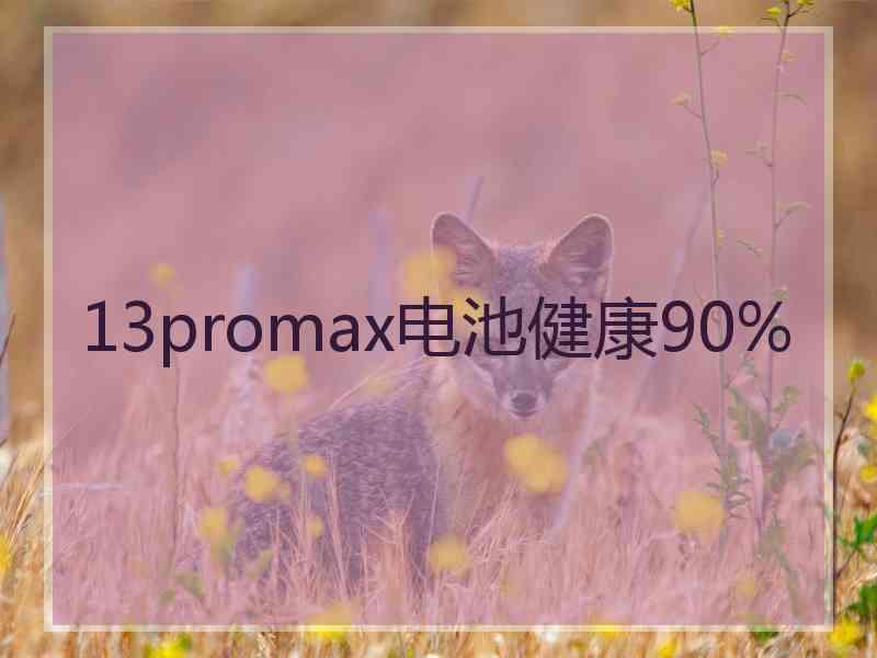 13promax电池健康90%