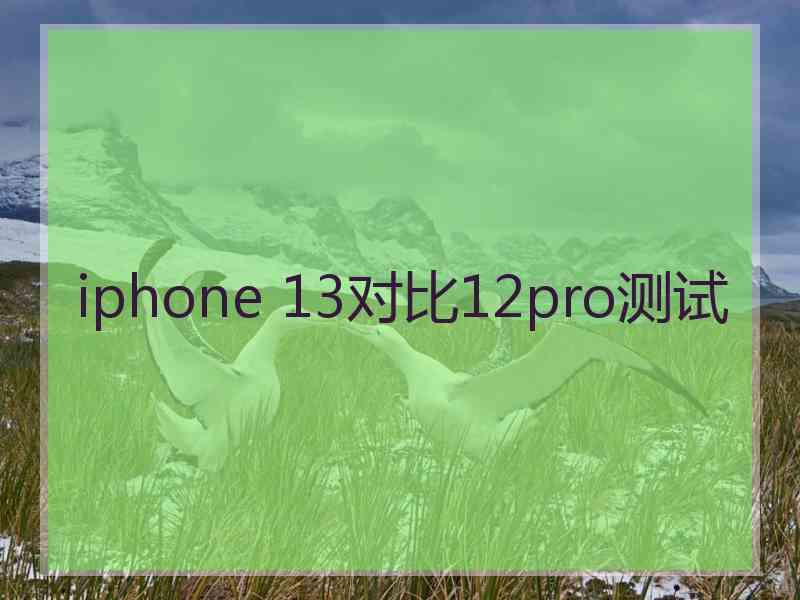 iphone 13对比12pro测试