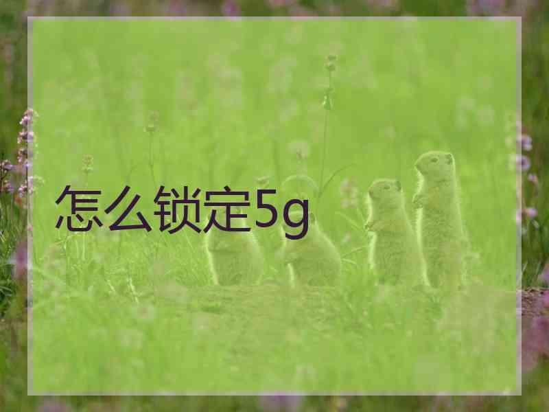 怎么锁定5g