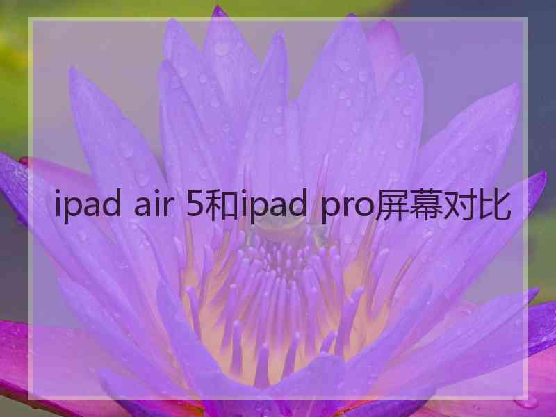 ipad air 5和ipad pro屏幕对比