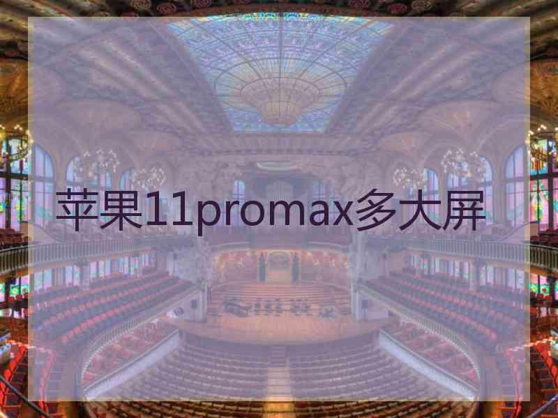 苹果11promax多大屏