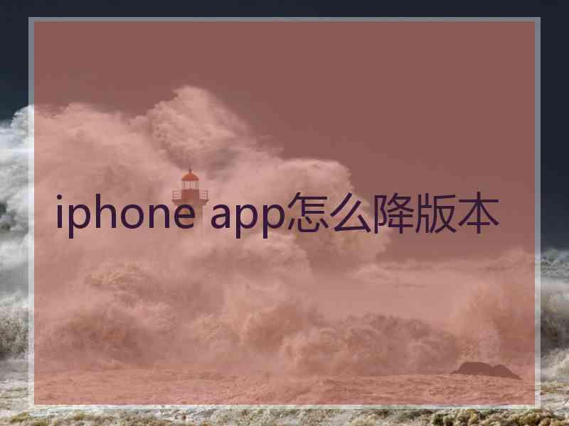 iphone app怎么降版本