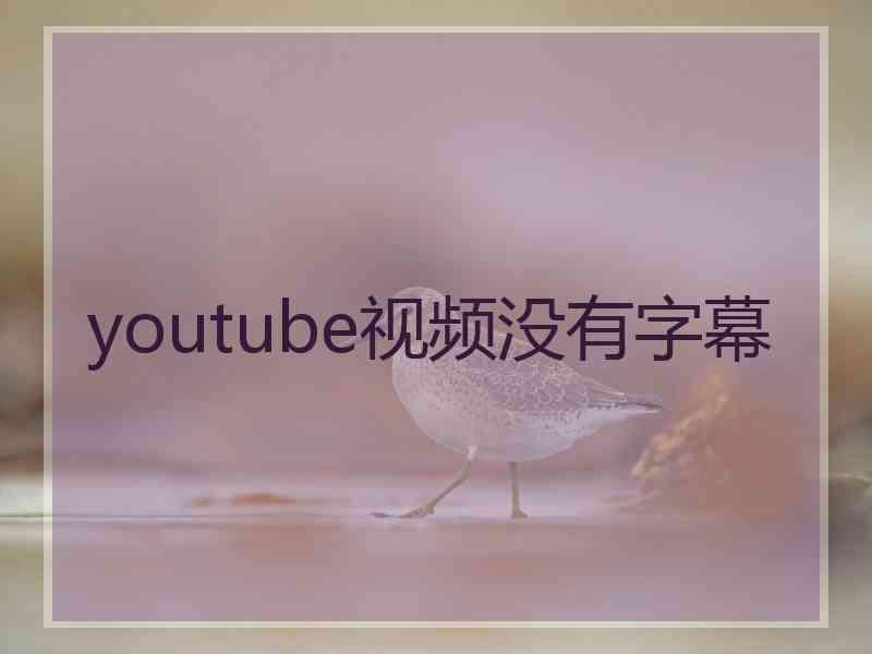 youtube视频没有字幕