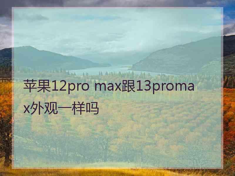 苹果12pro max跟13promax外观一样吗