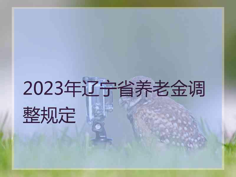 2023年辽宁省养老金调整规定