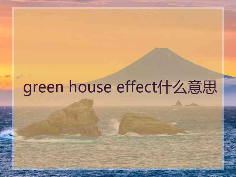 green house effect什么意思