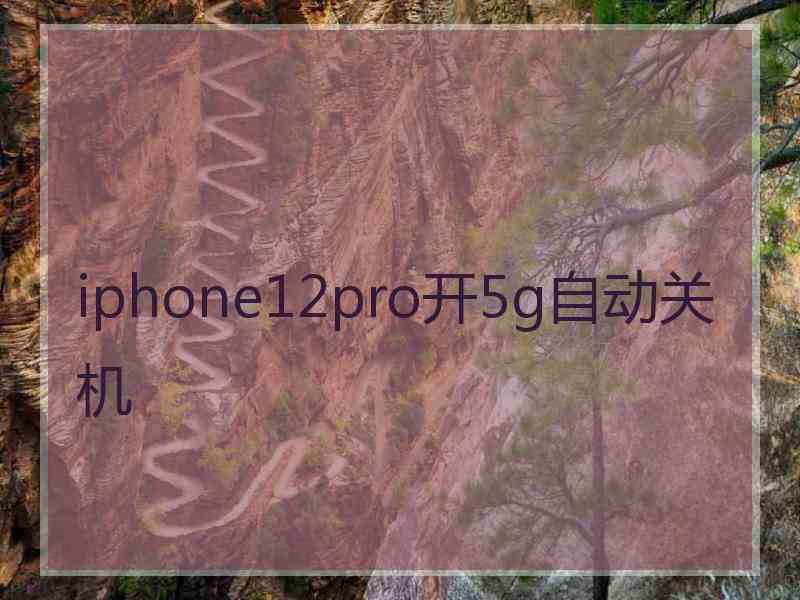 iphone12pro开5g自动关机