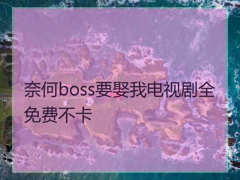 奈何boss要娶我电视剧全免费不卡