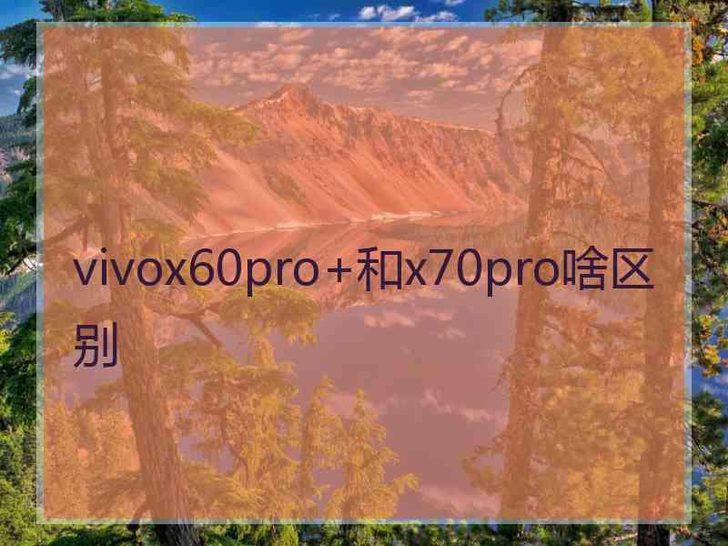 vivox60pro+和x70pro啥区别