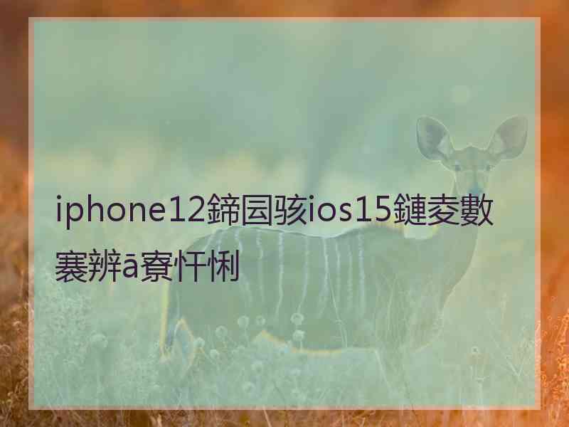 iphone12鍗囩骇ios15鏈夌數褰辨ā寮忓悧