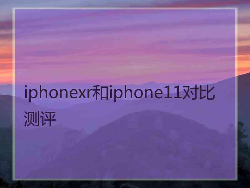 iphonexr和iphone11对比测评