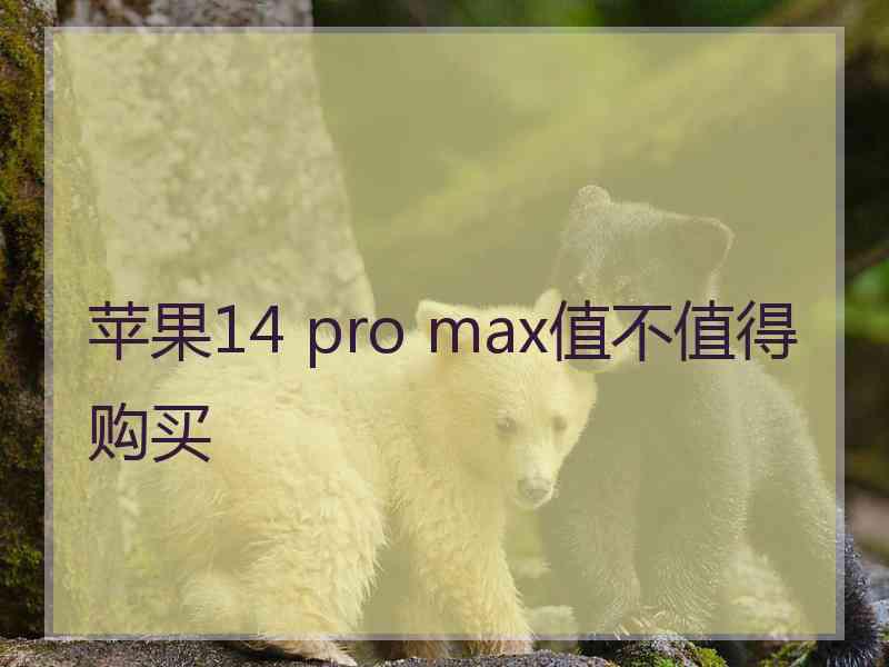 苹果14 pro max值不值得购买