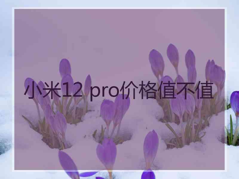 小米12 pro价格值不值