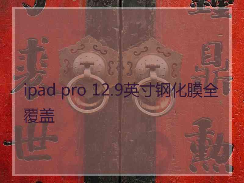 ipad pro 12.9英寸钢化膜全覆盖