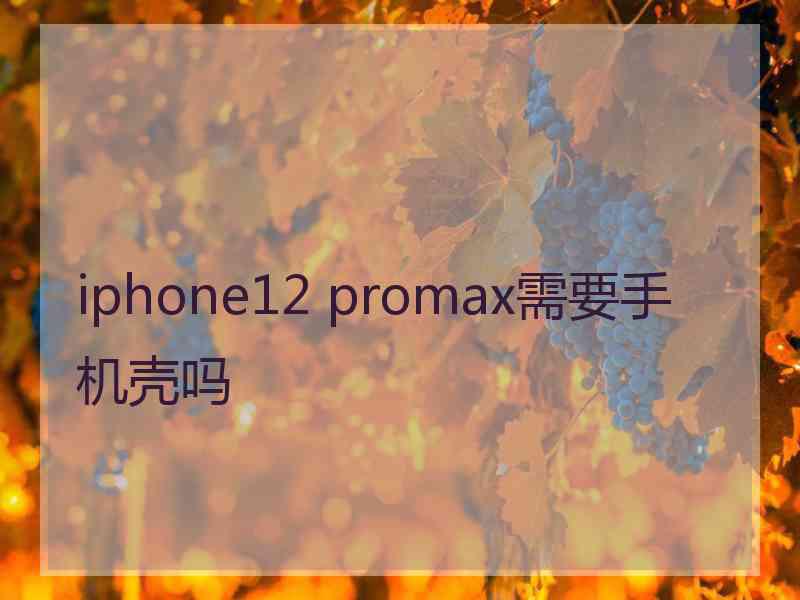 iphone12 promax需要手机壳吗