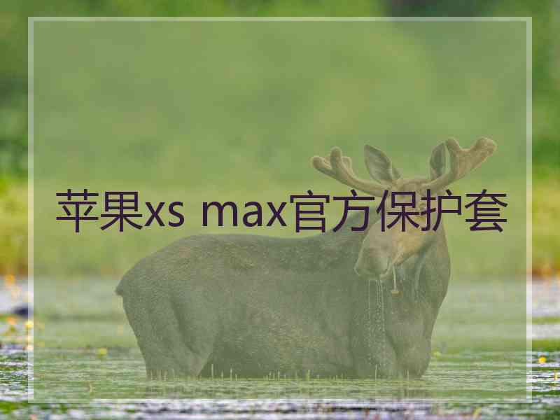 苹果xs max官方保护套