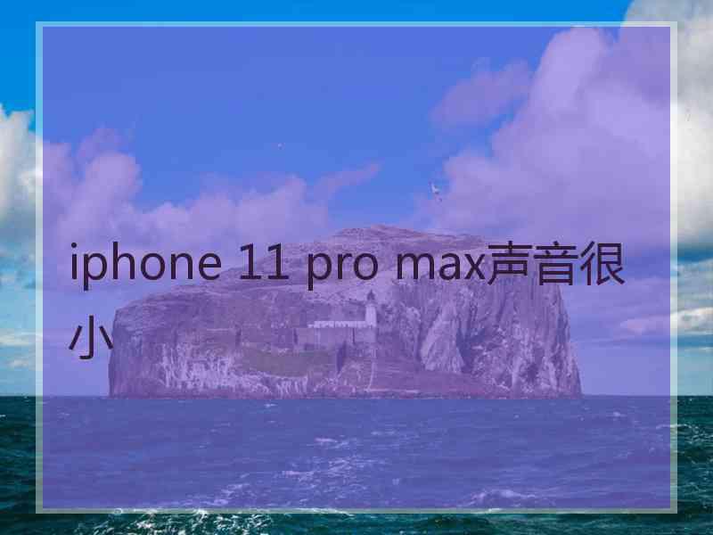 iphone 11 pro max声音很小