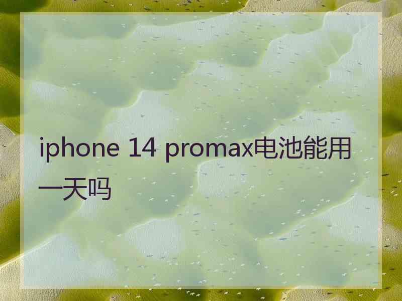 iphone 14 promax电池能用一天吗