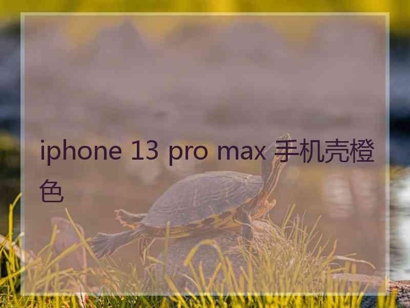 iphone 13 pro max 手机壳橙色