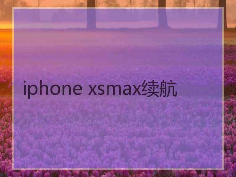 iphone xsmax续航