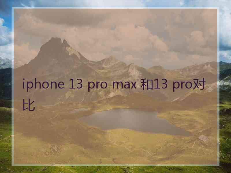 iphone 13 pro max 和13 pro对比