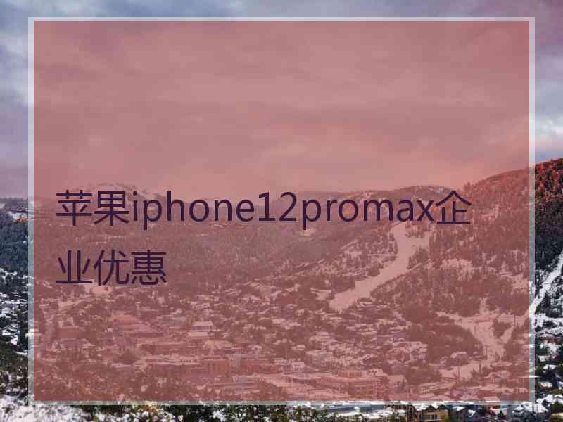 苹果iphone12promax企业优惠