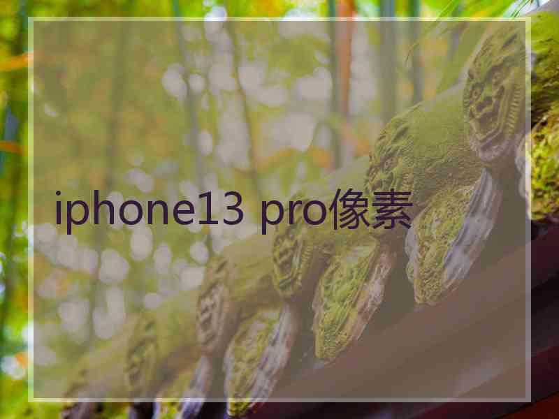 iphone13 pro像素