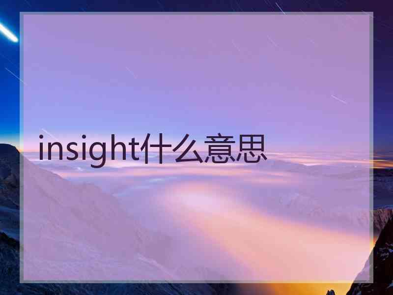 insight什么意思