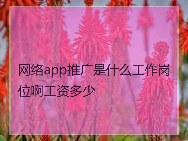 网络app推广是什么工作岗位啊工资多少