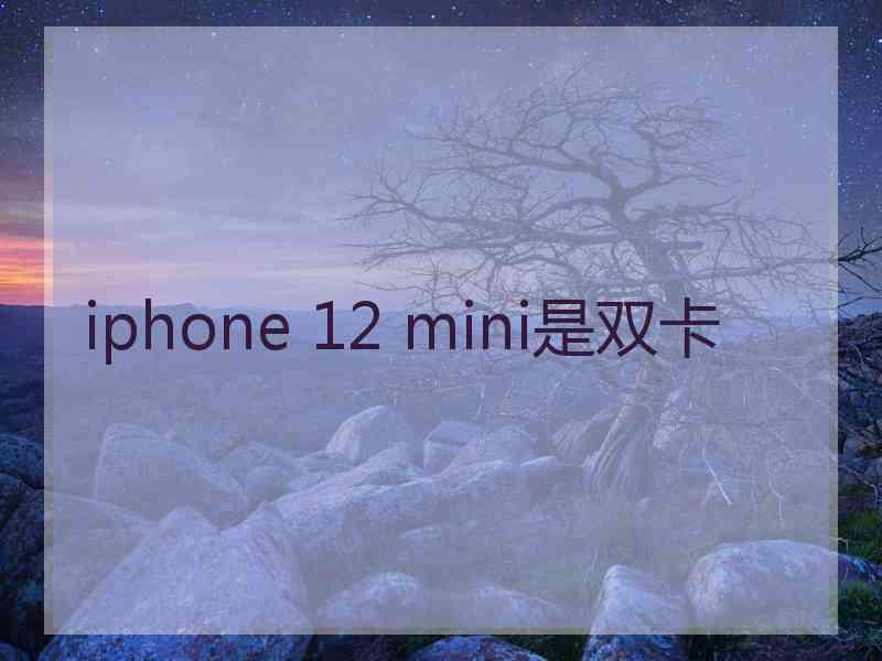 iphone 12 mini是双卡