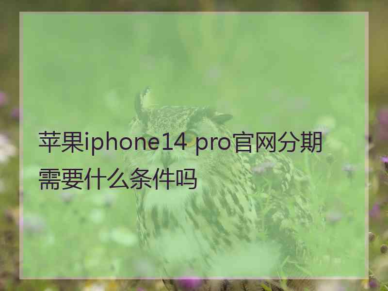 苹果iphone14 pro官网分期需要什么条件吗