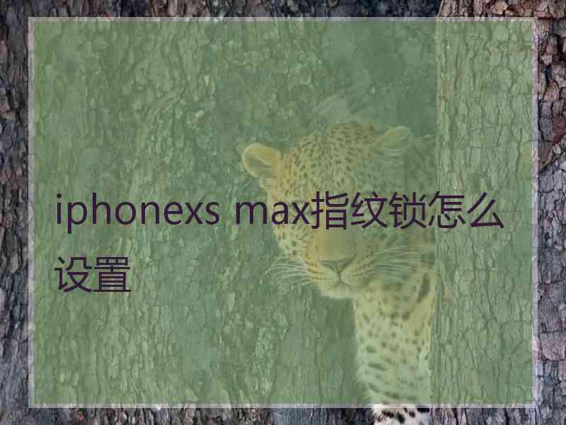 iphonexs max指纹锁怎么设置