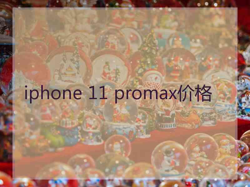 iphone 11 promax价格