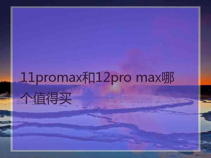 11promax和12pro max哪个值得买