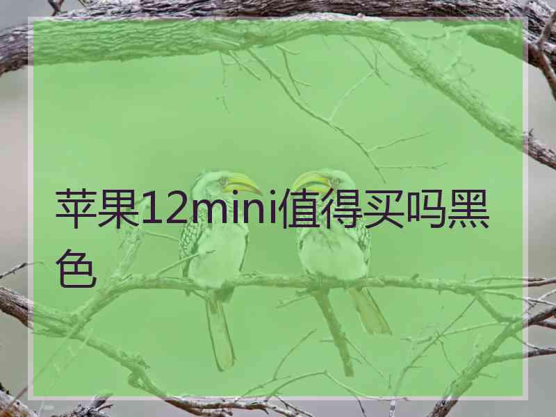 苹果12mini值得买吗黑色