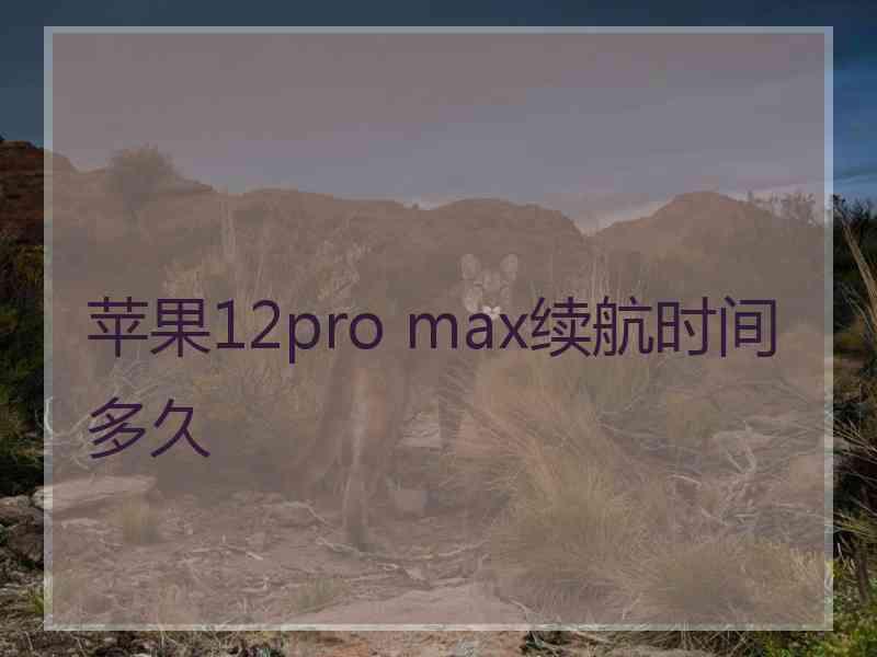 苹果12pro max续航时间多久