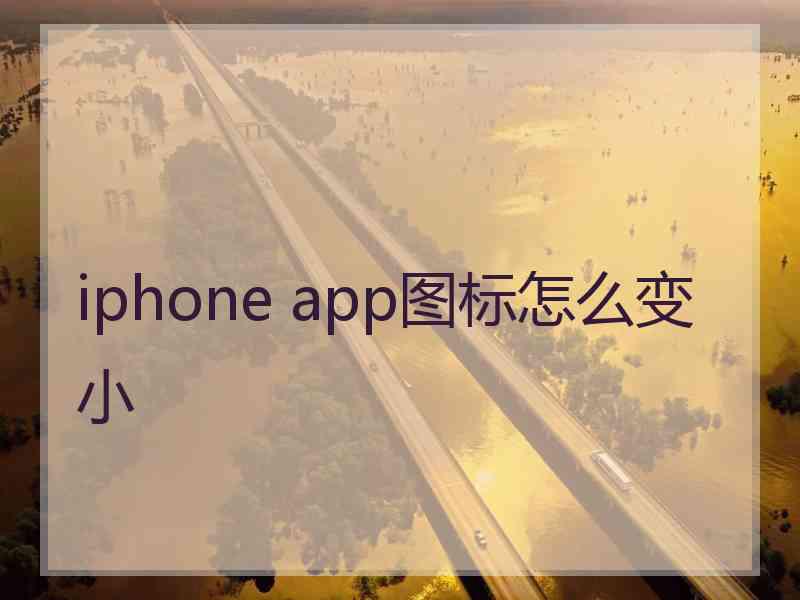 iphone app图标怎么变小