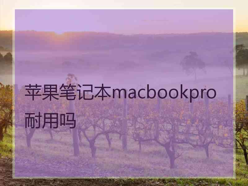 苹果笔记本macbookpro耐用吗