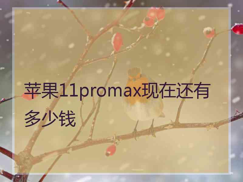 苹果11promax现在还有多少钱