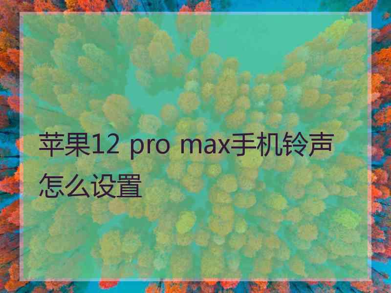 苹果12 pro max手机铃声怎么设置