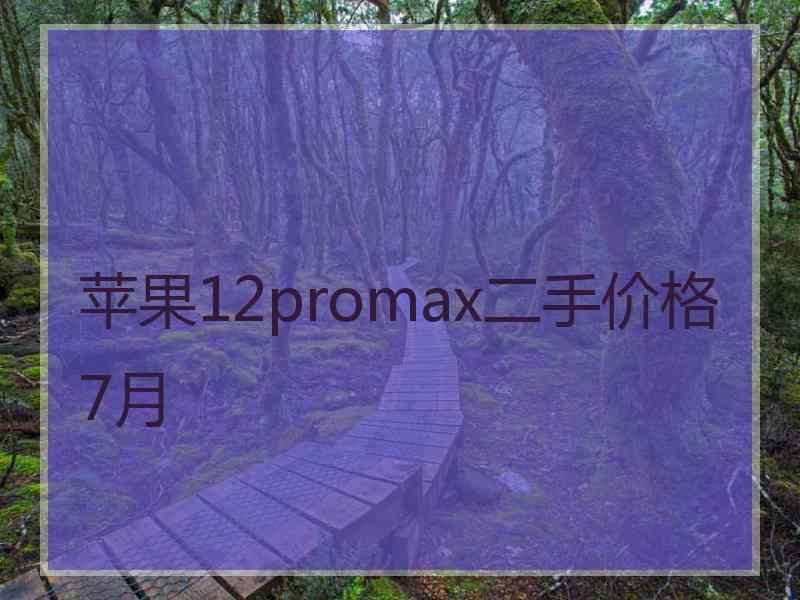 苹果12promax二手价格7月