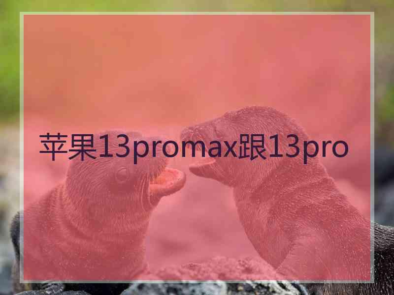 苹果13promax跟13pro