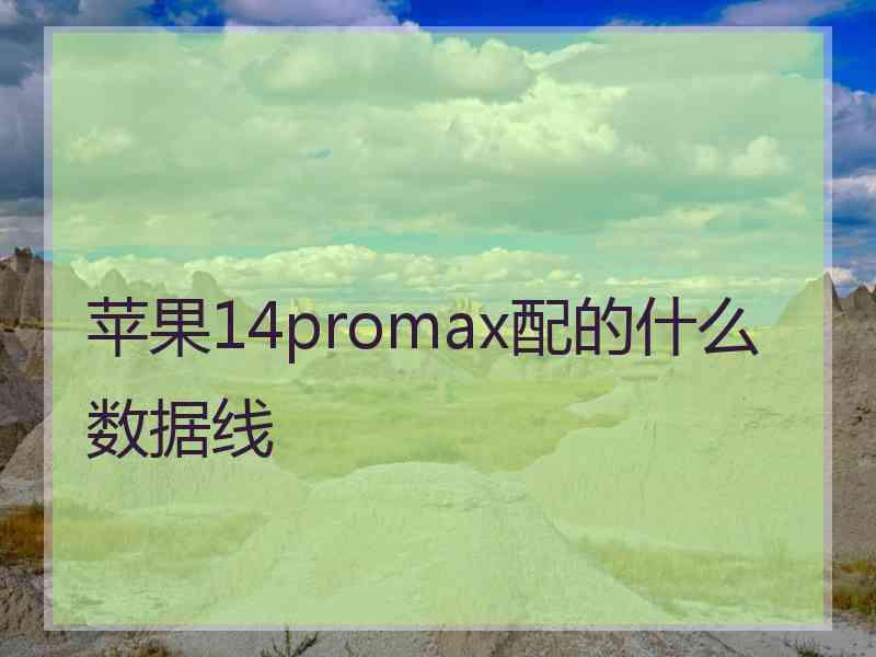 苹果14promax配的什么数据线