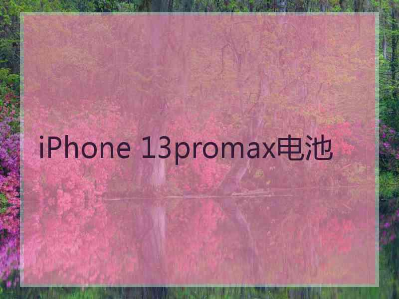 iPhone 13promax电池