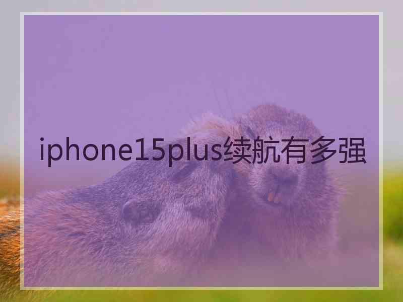 iphone15plus续航有多强