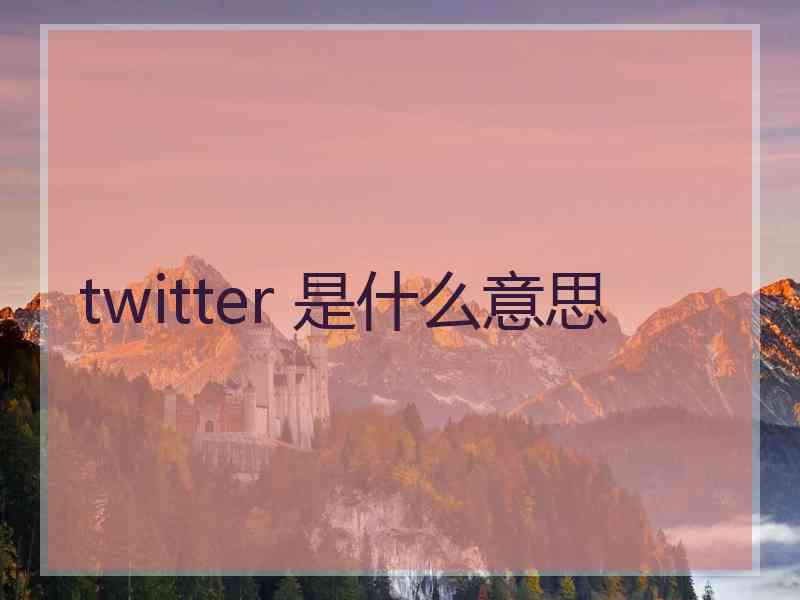 twitter 是什么意思