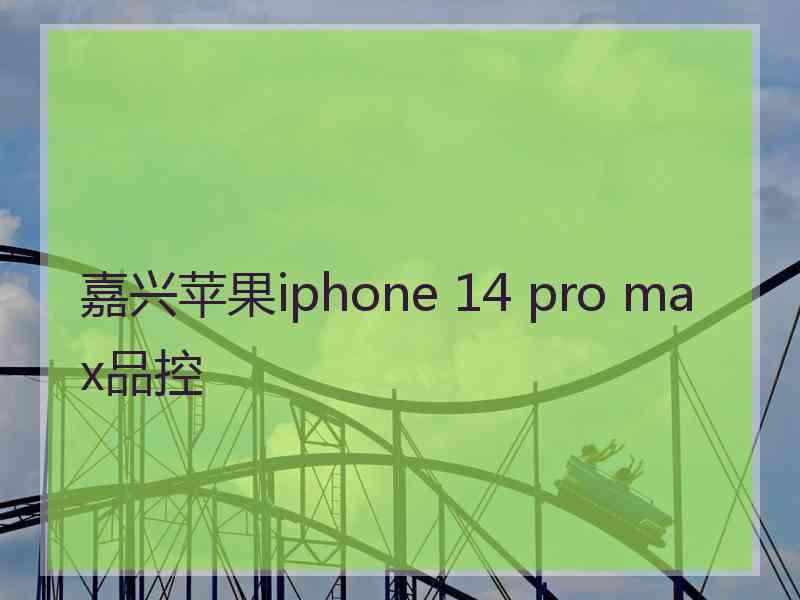 嘉兴苹果iphone 14 pro max品控