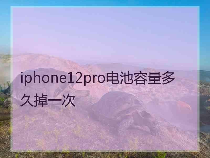 iphone12pro电池容量多久掉一次