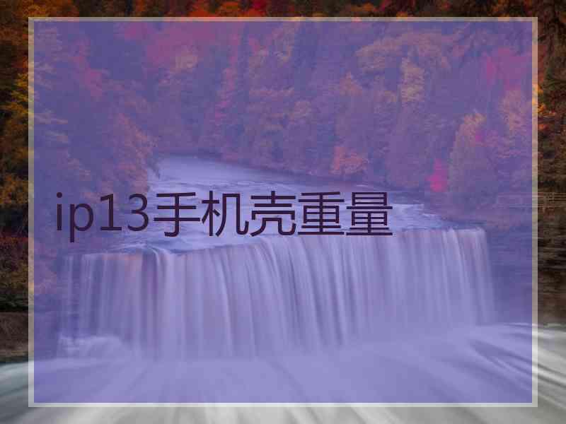 ip13手机壳重量